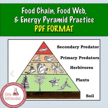 Food Chain, Food Web, and Energy Pyramid Practice- PDF by Mrs Unfrazzled