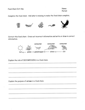 Food Chain Formative Assessment By Un-fussy Science 