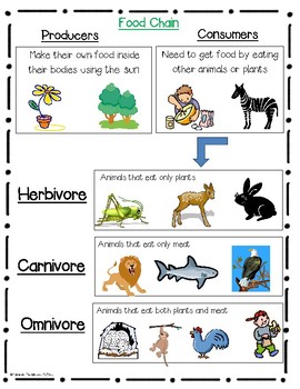 food chain frenzy by the blessed ocdiva teachers pay