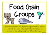 Food Chain Groups Information Poster Set/Anchor Charts