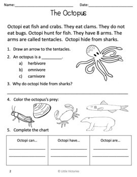 Food Chain Reading Comprehension