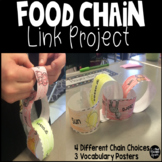 Food Chain Link Project and Vocabulary Posters