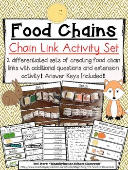 Preview of Food Chain Links Activity Set