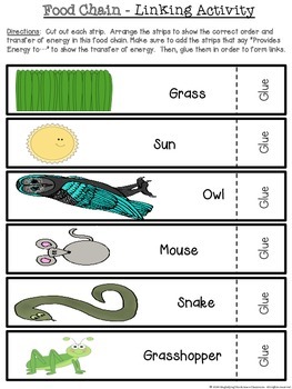 Food Chain Links Activity Set by Magnifying the Science Classroom