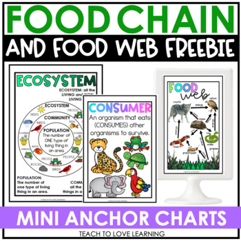 Preview of Food Chain Mini-Anchor Charts FREEBIE