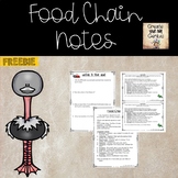Food Chain Notes and Questions for Science Notebook