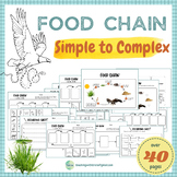 Food Chain Pack - Posters, Building Food Chain Worksheets,