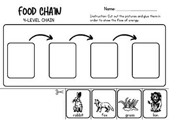 Food Chain Pack - Producer, Consumer, Decomposer, Cut and Paste, Record