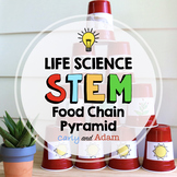 Food Chain Pyramid Life Science STEM Activity