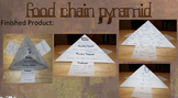 Food Chain Pyramid w/ Template