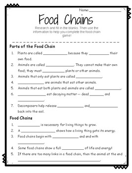 Food Chain Research Sheet by Sidney Dace | TPT