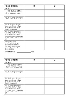 Preview of Food Chain Rubric