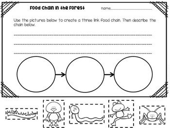 Food Chain STEM/NGSS Science Quick Pick by Science School Yard | TpT