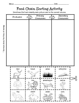 Food Chain Sorting Activity (producer, Primary Consumer, Secondary 