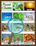 Food Chain Sorting Cards