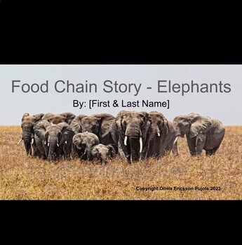 Food Chain Stories by Olivia Erickson | TPT
