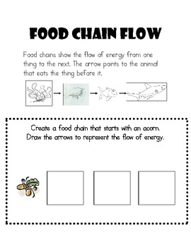 Food Chain Student Booklet by Gracelee Designs | TpT