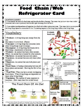 Preview of Food Chain Study Card