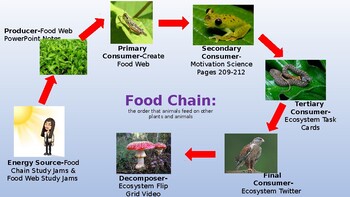 Preview of Food Chain Task Chart