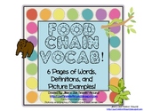 Food Chain Unit Vocabulary and Matching Worksheet!