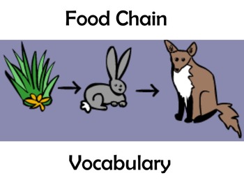 Preview of Food Chain Vocabulary