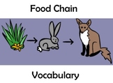 Food Chain Vocabulary