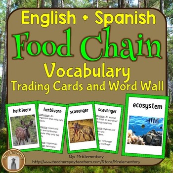 Preview of Food Chain and Food Web Vocabulary Trading Cards and Word Wall Posters