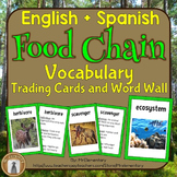 Food Chain and Food Web Vocabulary Trading Cards and Word 