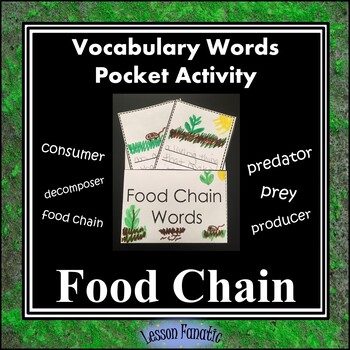 Preview of Food Chain Vocabulary Pocket Activity with Definition and Word Wall Cards