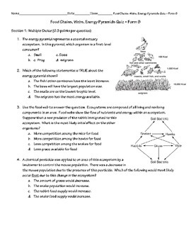 Food Chain, Web, Energy Pyramid Quiz (Form B) by Patton Pedagogy Products