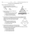 Food Chain, Web, Energy Pyramid Quiz (Form B)