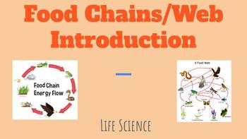 Preview of Food Chain/Web Introduction Google Slide show