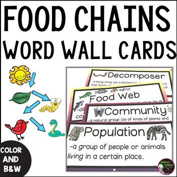 Preview of Food Chain Word Wall Vocabulary With Definitions