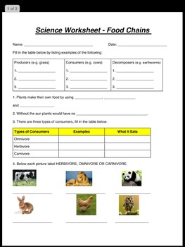science worksheet food chain worksheet by think learn