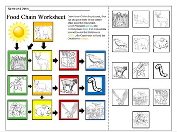 Food Chain Worksheet by Alexandra Smith | TPT