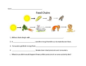 Food Chain Worksheet by Lauran Deibert | Teachers Pay Teachers