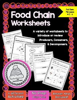 Preview of Food Chain Worksheets