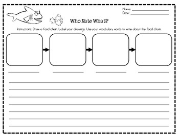 Preview of Food Chain Writing Activity (English & Spanish)