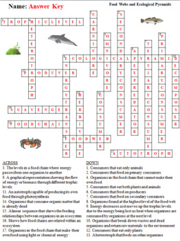 Food Web Crossword Puzzle Answers Key | crossword quiz