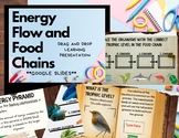 Food Chain and Energy Flow Mini Lesson Google Slides Drag 