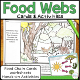 Food Chain and Food Web Activities