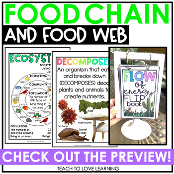 Preview of Food Chain and Food Web Mini-Anchor Charts for IKEA Tolsby Frames