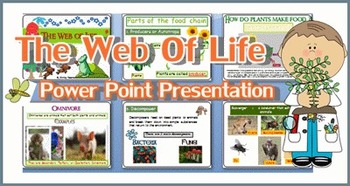 Preview of Food Chain and Food Web Power Point Presentation