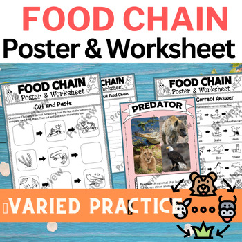 Preview of Food Chain and Food Webs Worksheets, Posters (Cut & paste, match, puzzles...)
