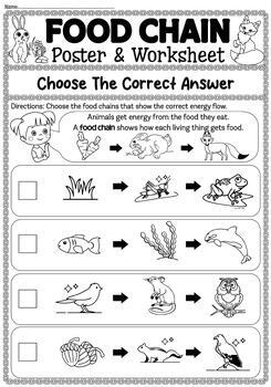 Food Chain and Food Webs Worksheets, Posters (Cut & paste, match ...