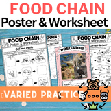 Food Chain and Food Webs Worksheets, Posters (Cut & paste,