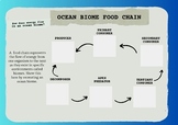 Food Chain in the Ocean