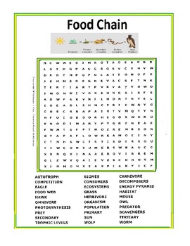 Preview of Food Chain or Food Web Word Search or Wordsearch