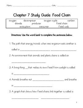 Food Chain worksheet by Shana Keane | Teachers Pay Teachers