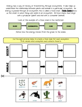 Food Chains by R Auringer | TPT